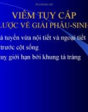 Bài giảng viêm tụy cấp