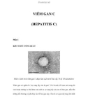 VIÊM GAN C (HEPATITIS C) - Phần 1