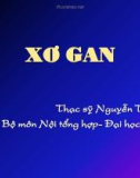 Bài giảng Xơ gan - ThS. Nguyễn Thái Bình