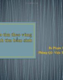 Bài giảng Giải phẫu tim theo vùng trong bệnh tim bẩm sinh - Bs. Phạm Thu Thủy