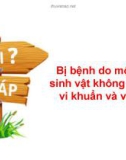 Bài giảng Thuốc điều trị ký sinh trùng