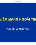 Bài giảng Viêm màng ngoài tim - PGS. TS. Vũ Minh Phúc