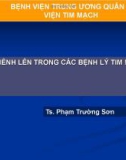 Bài giảng ST chênh lên trong các bệnh lý tim mạch - TS. Phạm Trường Sơn