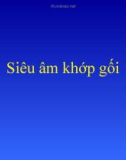 Siêu âm khớp gối