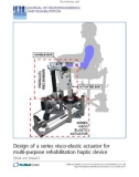 Báo cáo khoa hoc: Design of a series visco-elastic actuator for multi-purpose rehabilitation haptic device