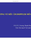 Bài giảng Đại cương về siêu âm doppler mô cơ tim - PGS.TS. Trương Thanh Hương