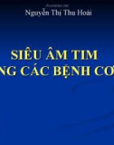 Bài giảng bộ môn Siêu âm tim: Siêu âm tim trong các bệnh cơ tim