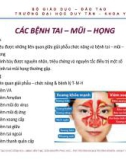 Bài giảng Các bệnh tai mũi họng - ThS. BS Nguyễn Phúc Học