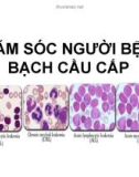 Bài giảng Chăm sóc người bệnh bạch cầu cấp