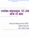 Bài giảng Hội chứng Brugada: Từ lâm sàng đến tế bào