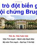 Bài giảng Vai trò đột biến gen và hội chứng Brugada - ThS. Bs. Trần Tuấn Việt