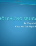 Bài giảng Hội chứng Brugada – BS. Phạm Minh Dân