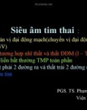 Bài giảng Siêu âm tim thai - PGS.TS. Phạm Nguyễn Vinh