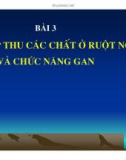 Bài giảng hấp thu các chất ở ruột non và chức năng gan part 1