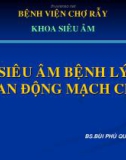 Bài giảng siêu âm bệnh lý van động mạch chủ - BS. Bùi Phú Quang