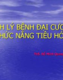 Bài giảng Sinh lý bệnh đại cương: Chức năng tiêu hóa - ThS. Đỗ Minh Quang