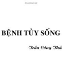 Bài giảng Bệnh tủy sống