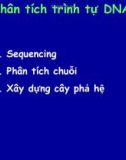 Công nghệ sinh học trong bảo vệ thực vật - Phân tích DNA