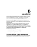 JavaScript JavaScrip