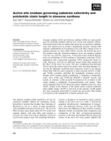 Báo cáo khoa học: Active site residues governing substrate selectivity and polyketide chain length in aloesone synthase