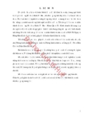 Khóa luận tốt nghiệp Quản trị kinh doanh: Giải pháp hoàn thiện kênh phân phối của Công ty Cổ Phần Hóa Chất Và Phân Bón Ba Miền