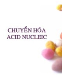 Bài giảng: CHUYỂN HÓA ACID NUCLEIC