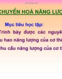 Bài giảng chuyển hóa năng lượng