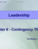 Lecture Leadership - Theory and practice: Chapter 6 - Contingency theory