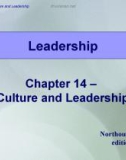 Lecture Leadership - Theory and practice: Chapter 14 – Culture and leadership