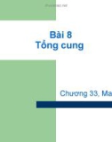 Bài giảng Mô hình tổng cung và tổng cầu