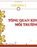 Bài giảng Kinh tế môi trường - Chương 1: Tổng quan kinh tế môi trường