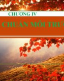 Bài giảng Kinh tế môi trường - Chương 4: Tiêu chuẩn môi trường