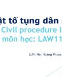 Bài giảng Luật tố tụng dân sự: Chương 1 - Mai Hoàng Phước