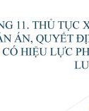 Bài giảng Luật tố tụng dân sự: Chương 11 - Mai Hoàng Phước