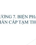 Bài giảng Luật tố tụng dân sự: Chương 7 - Mai Hoàng Phước