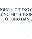 Bài giảng Luật tố tụng dân sự: Chương 6 - Mai Hoàng Phước