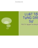 Bài giảng Luật tố tụng dân sự: Chương 3 - PGS.TS. Nguyễn Thị Hồng Nhung