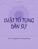 Bài giảng Luật tố tụng dân sự: Chương 2 - PGS.TS. Nguyễn Thị Hồng Nhung