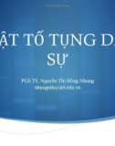 Bài giảng Luật tố tụng dân sự: Chương 1 - PGS.TS. Nguyễn Thị Hồng Nhung