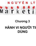 Bài giảng Nguyên lý marketing: Chương 3