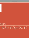 Bài giảng Tài chính quốc tế: Chương 5 - Trường ĐH Kinh tế Đà Nẵng