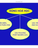 Bài giảng Động học xúc tác: Động hóa học