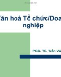 Bài giảng Kỹ năng lãnh đạo và quản lý: Văn hóa Tổ chức/Doanh nghiệp - PGS. TS. Trần Văn Bình