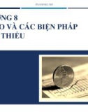 Bài giảng Tài trợ dự án: Chương 8 - Lê Hoài Ân