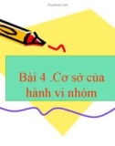 Bài giảng Bài 4: Cơ sở của hành vi nhóm - Phan Thị Minh Châu