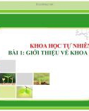 Bài giảng Khoa học tự nhiên lớp 6 - Bài 1: Giới thiệu về khoa học tự nhiên