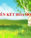 Bài giảng môn Khoa học tự nhiên lớp 7 bài 6: Giới thiệu về liên kết hóa học