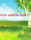 Bài giảng môn Khoa học tự nhiên lớp 6 bài 11: Oxygen - Không khí