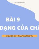 Bài giảng môn Khoa học tự nhiên lớp 6 bài 9: Sự đa dạng của chất