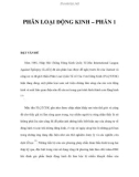 PHÂN LOẠI ĐỘNG KINH – PHẦN 1